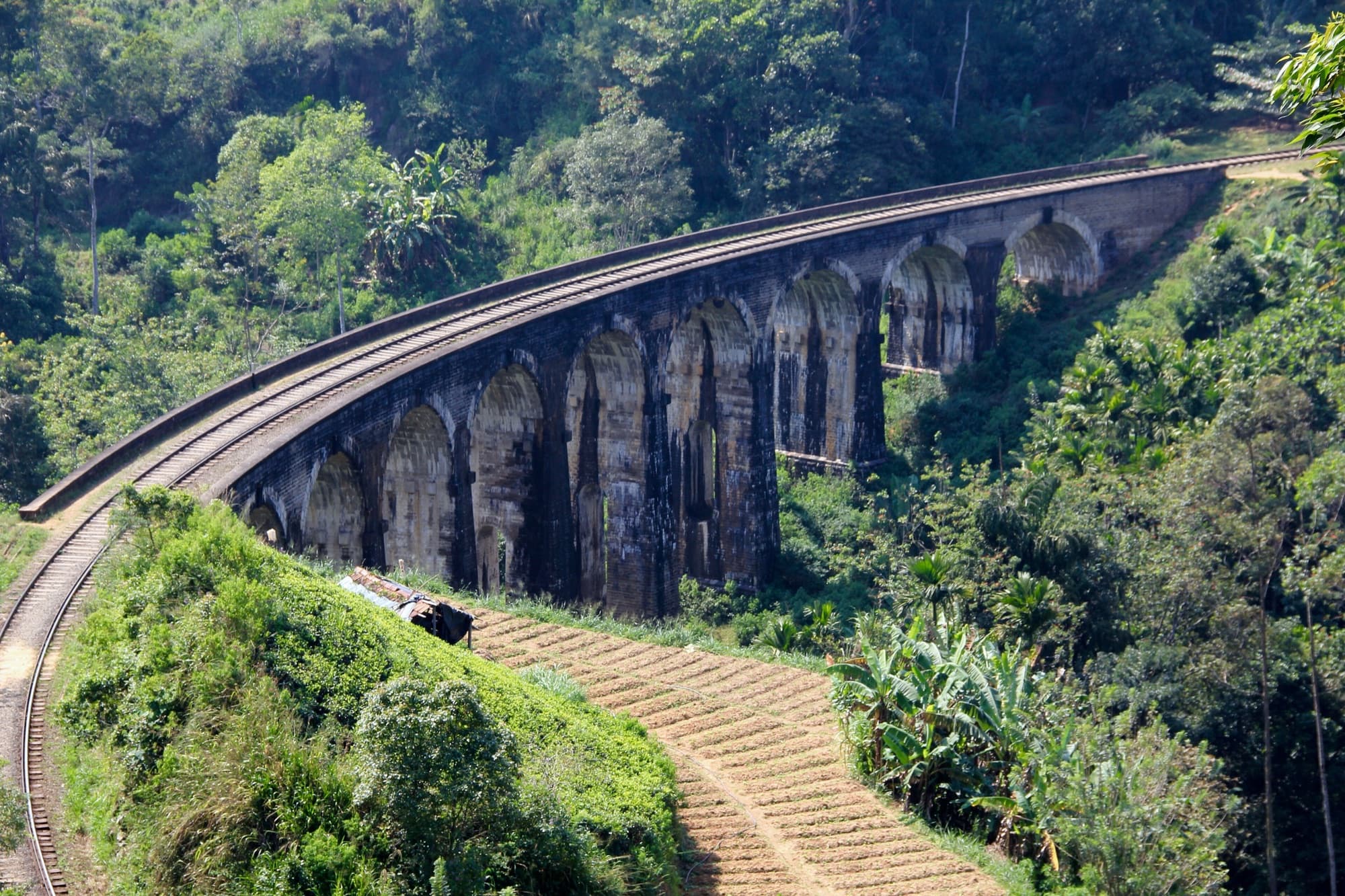 The Nine Arch Bridge at Demodara curving through dense green forest